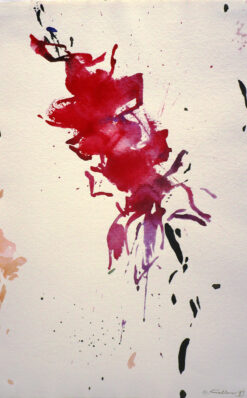 Gladiole