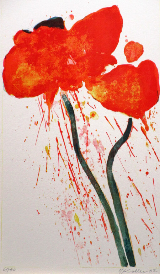 Großer Mohn