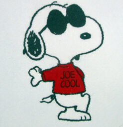 Joe Cool