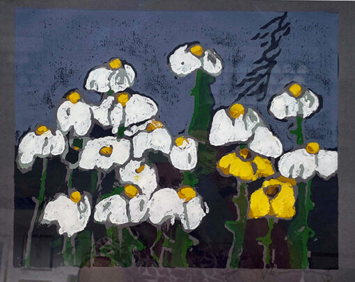 Margeriten