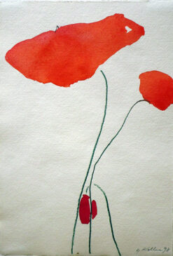 Mohn