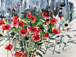 Mohn