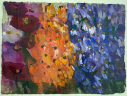 Mohn und Rittersporn