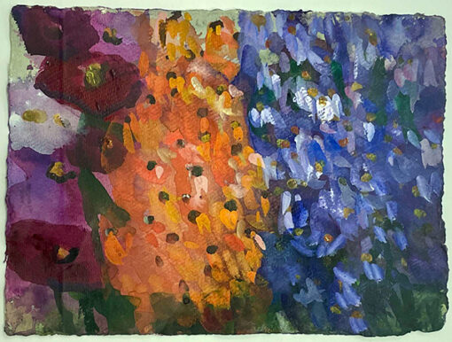 Mohn und Rittersporn