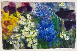 Phlox, Vergissmeinnnnicht, Iris