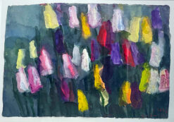 Tulpen