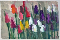 Tulpen