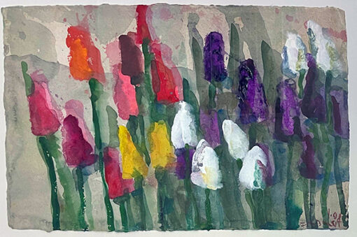 Tulpen