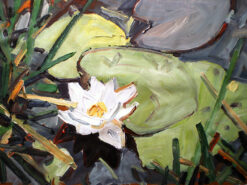 Ralph Fleck
