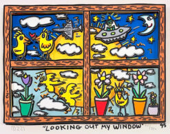 Looking out my window